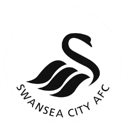 Swansea City